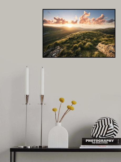 Soft Meadow Poster och Canvastavla
