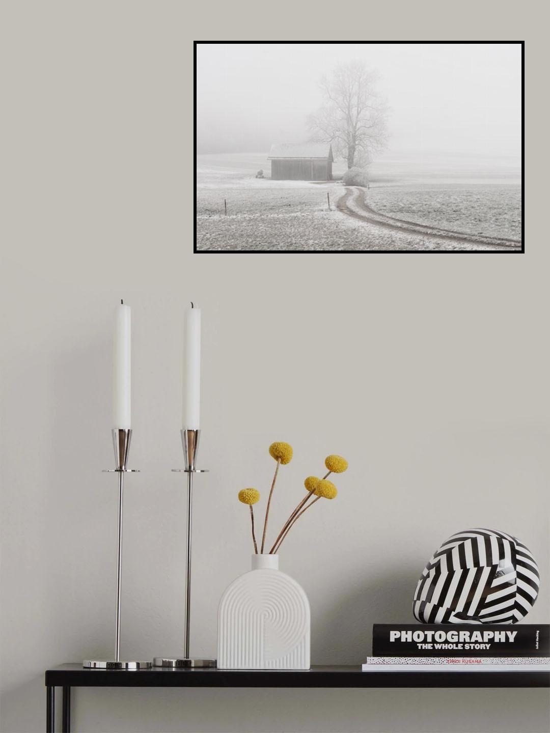 a foggy day Poster och Canvastavla