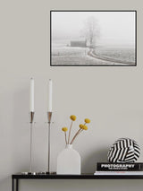 a foggy day Poster och Canvastavla
