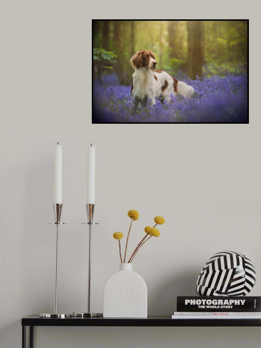 Theo Poster och Canvastavla