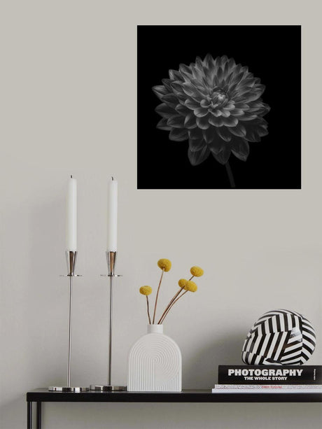 Dahlia Poster och Canvastavla