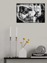 In my own bubble Poster och Canvastavla