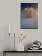 The first... Poster och Canvastavla