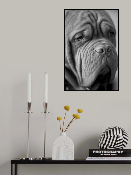 dog portrait Poster och Canvastavla