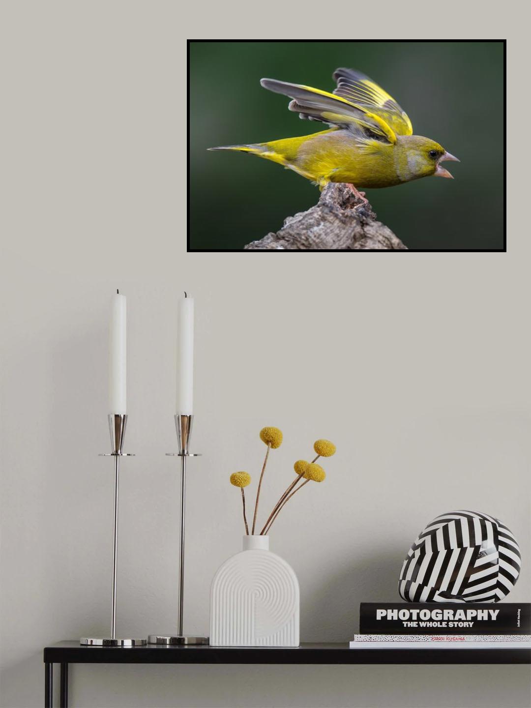 Poster och Canvastavla