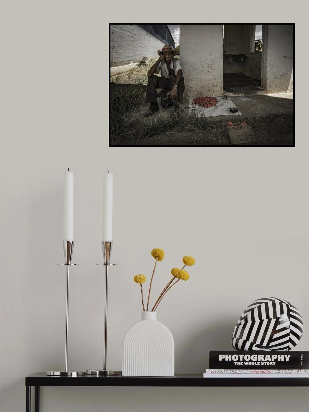 Lata Poster och Canvastavla