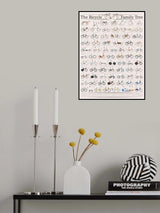 The History of the Bicycle Poster och Canvastavla