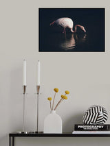 Enlighted flamingo Poster och Canvastavla