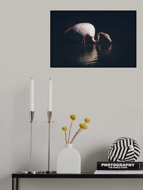 Enlighted flamingo Poster och Canvastavla