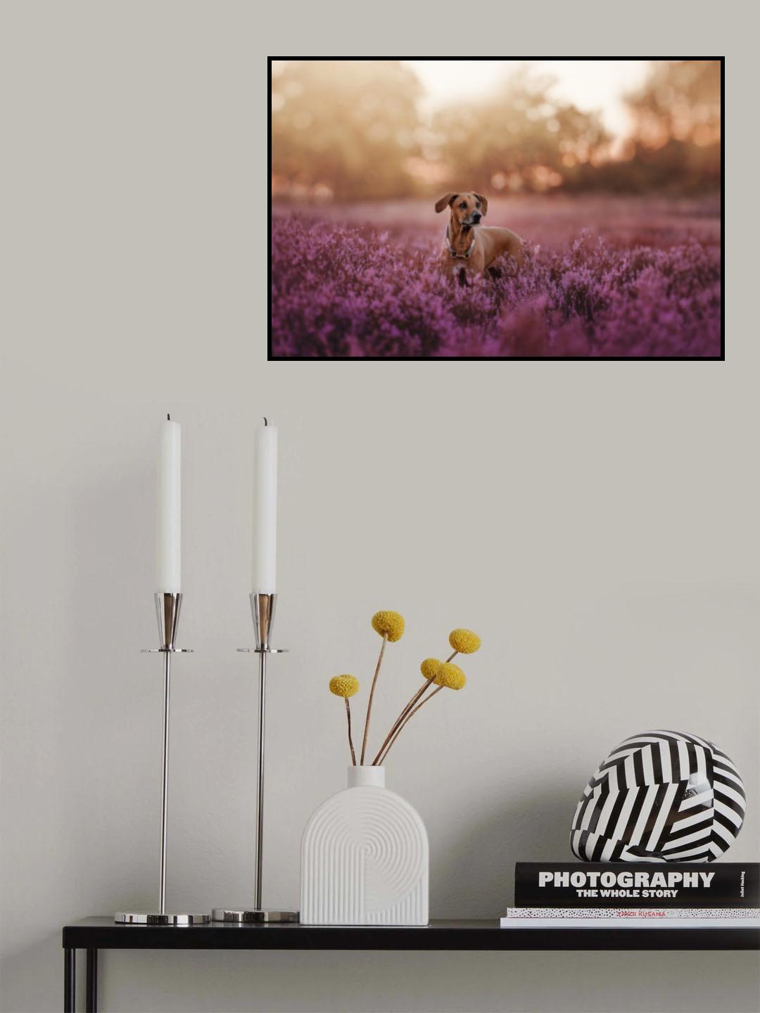 Sea of flowers Poster och Canvastavla
