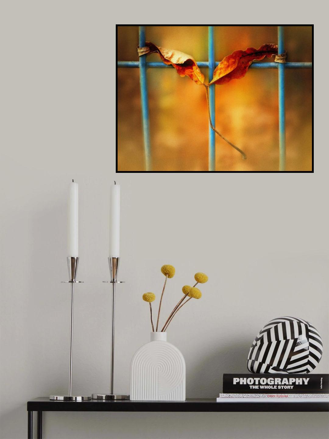say "no" to winter Poster och Canvastavla