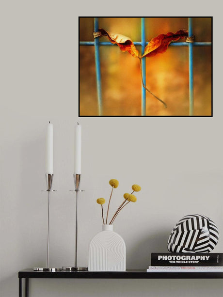 say "no" to winter Poster och Canvastavla