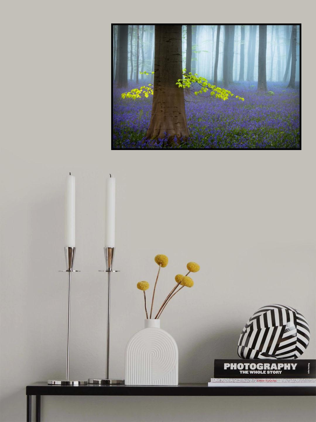 Spring........... Poster och Canvastavla