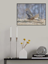 Low flying Poster och Canvastavla