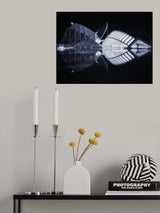 Symmetry Poster och Canvastavla