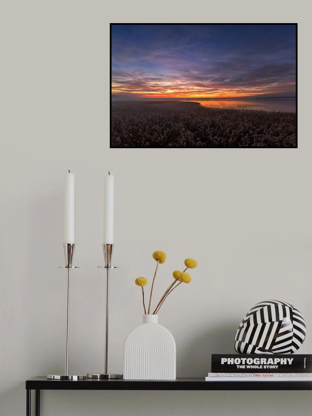 The morning silence. Poster och Canvastavla
