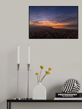 The morning silence. Poster och Canvastavla