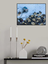 Sheepment Poster och Canvastavla