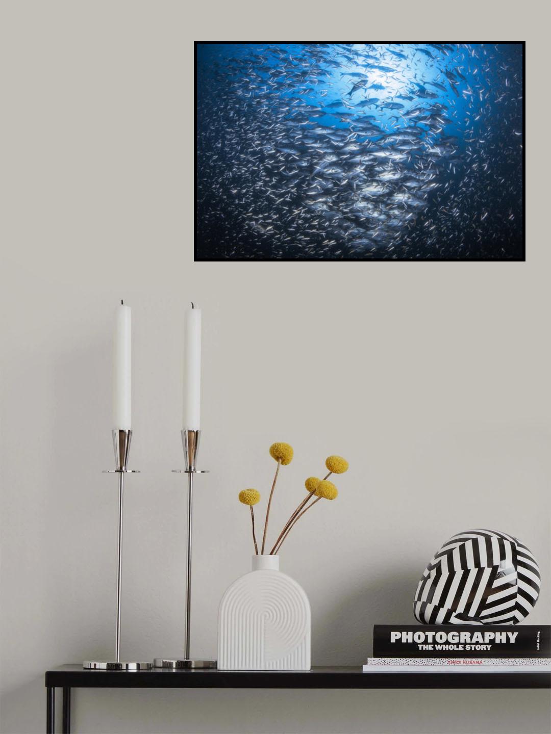 Underwater life of Tachai Poster och Canvastavla