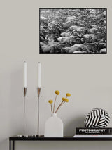 Wildbeests Poster och Canvastavla