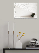 inside asymmetry Poster och Canvastavla