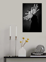 Poster och Canvastavla