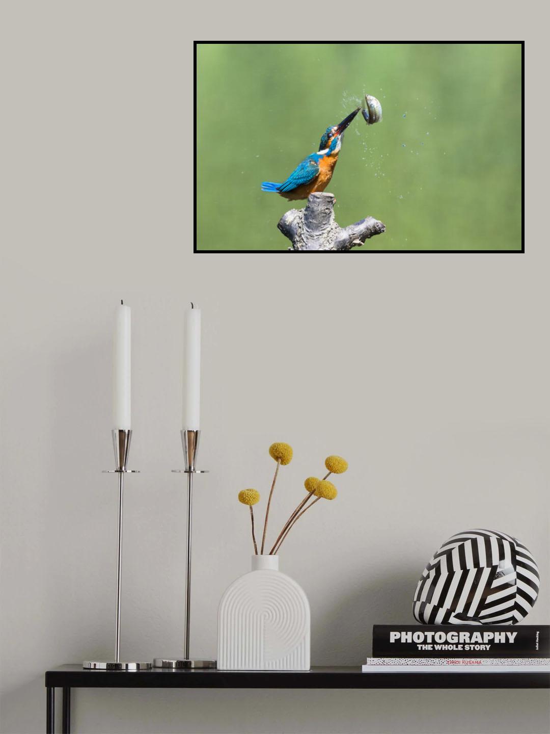 Fish that escaped Poster och Canvastavla
