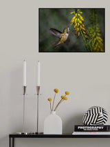 Fresh Air in Morning after Night Rain Poster och Canvastavla