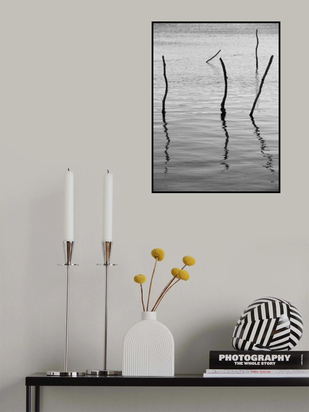 Reflect Poster och Canvastavla