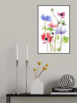 Anemone De Caen Poster och Canvastavla