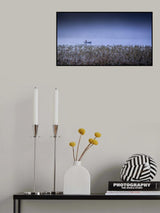 Fishing Poster och Canvastavla