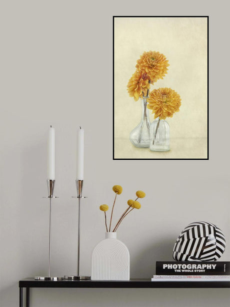 3 Dahlias Poster och Canvastavla