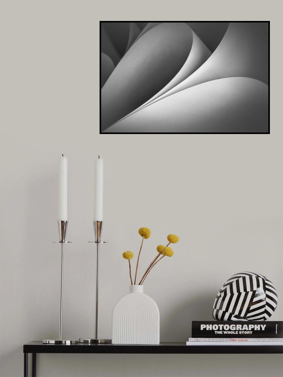 Curves Poster och Canvastavla