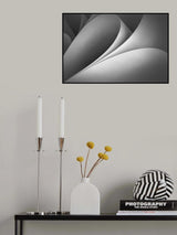 Curves Poster och Canvastavla