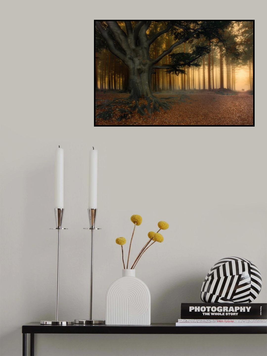 To the light......... Poster och Canvastavla