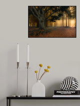 To the light......... Poster och Canvastavla