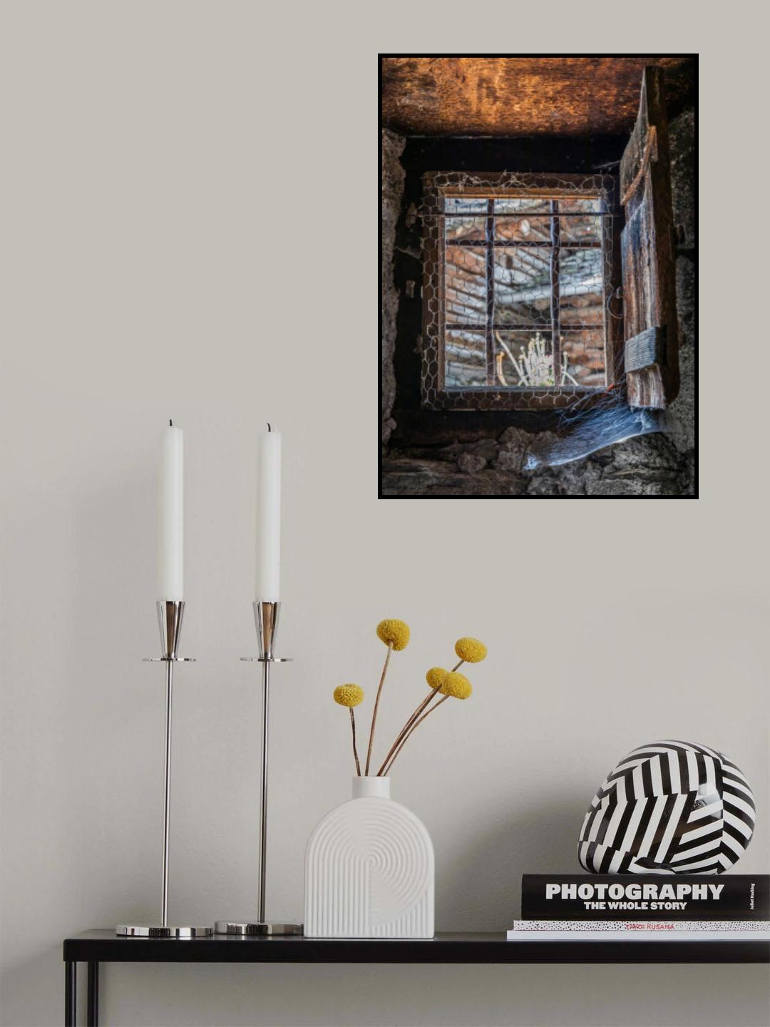 spider's home Poster och Canvastavla