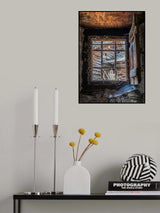spider's home Poster och Canvastavla