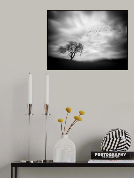 September Poster och Canvastavla
