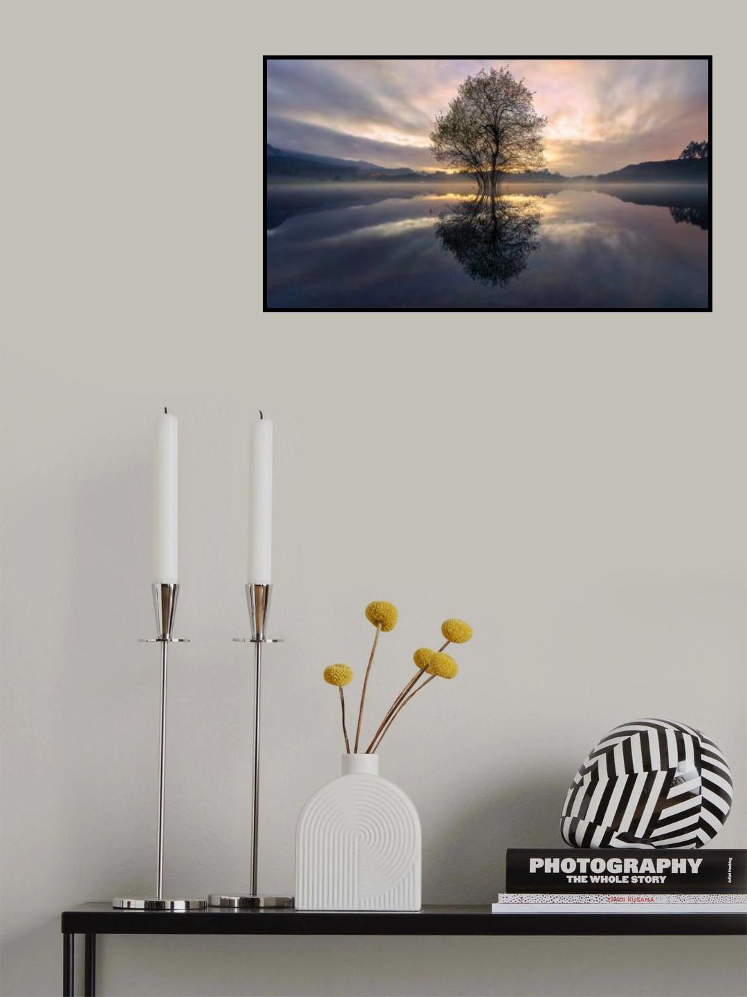 Castaway Poster och Canvastavla
