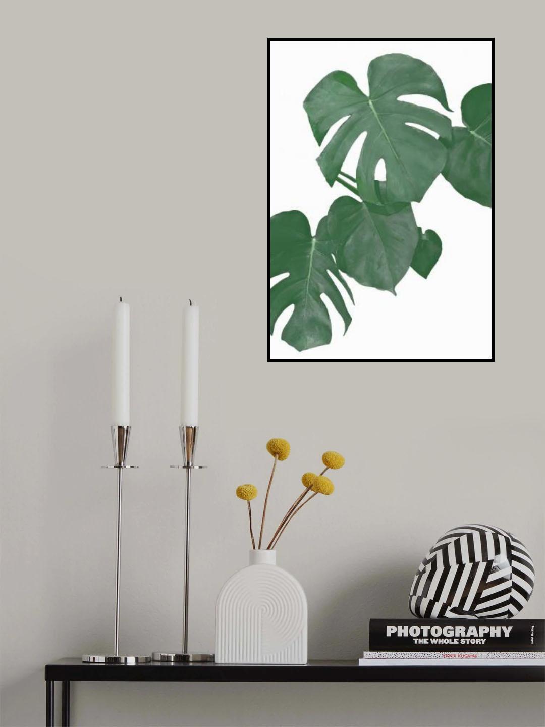 Monstera Aqua 01 Poster och Canvastavla