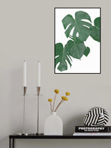 Monstera Aqua 01 Poster och Canvastavla