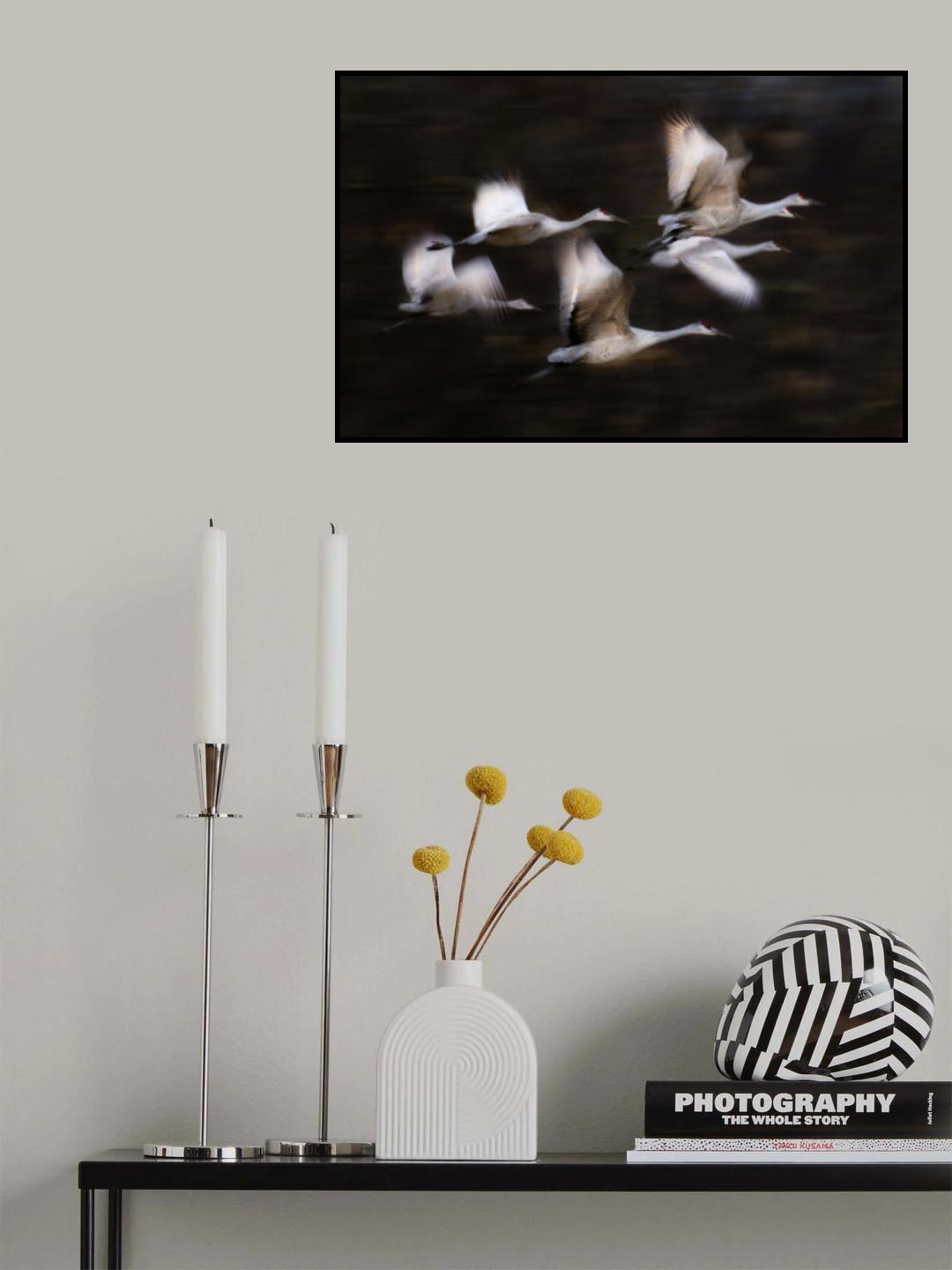 Sandy Cranes' flying motion Poster och Canvastavla