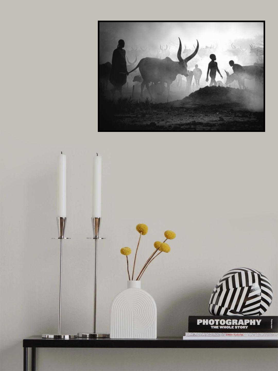 Mundari cattle camp Poster och Canvastavla