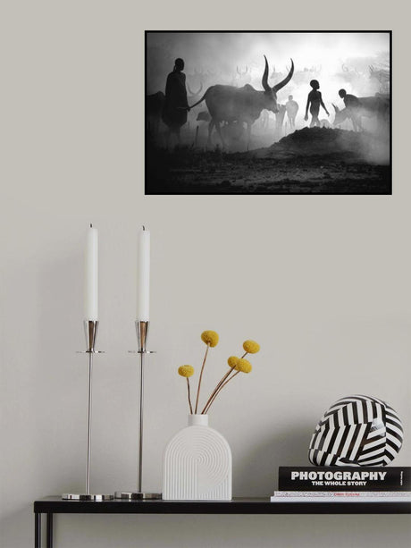 Mundari cattle camp Poster och Canvastavla