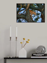 Time to hunt Poster och Canvastavla