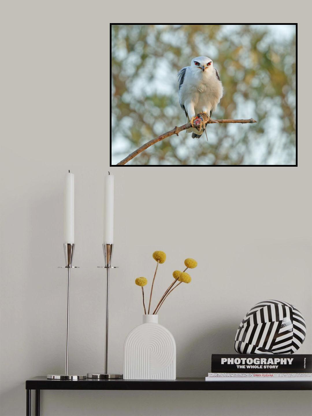 Kite and Vole 2 Poster och Canvastavla