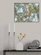 Kite and Vole 2 Poster och Canvastavla