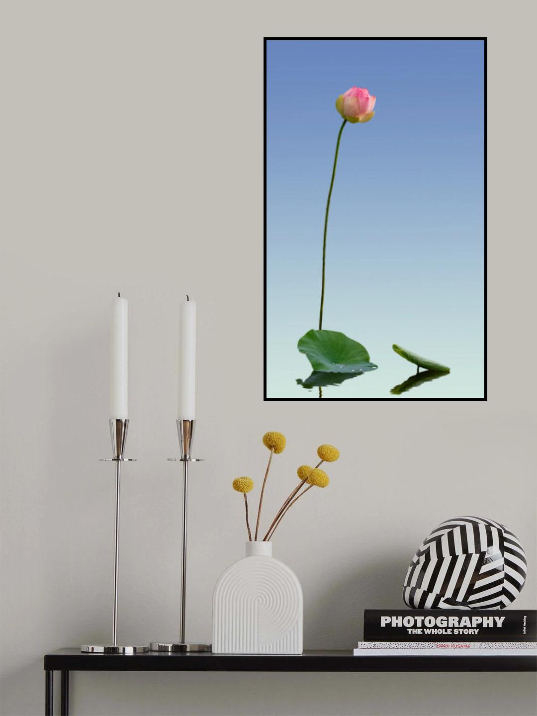 lotus Poster och Canvastavla