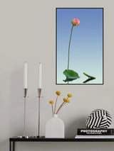 lotus Poster och Canvastavla